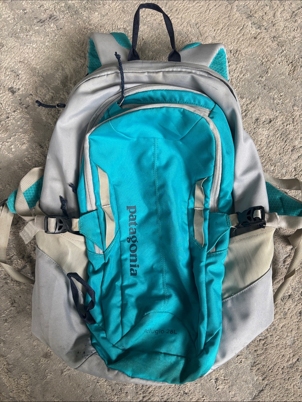 Patagonia Teal and Light Gray Men's Backpack with Navy Accents